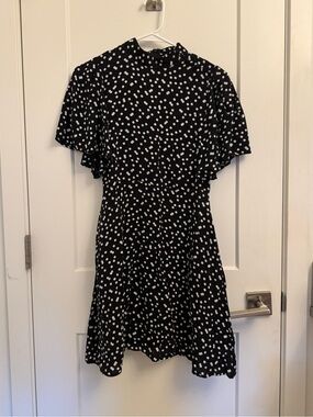 Zara Polka Dot Dress